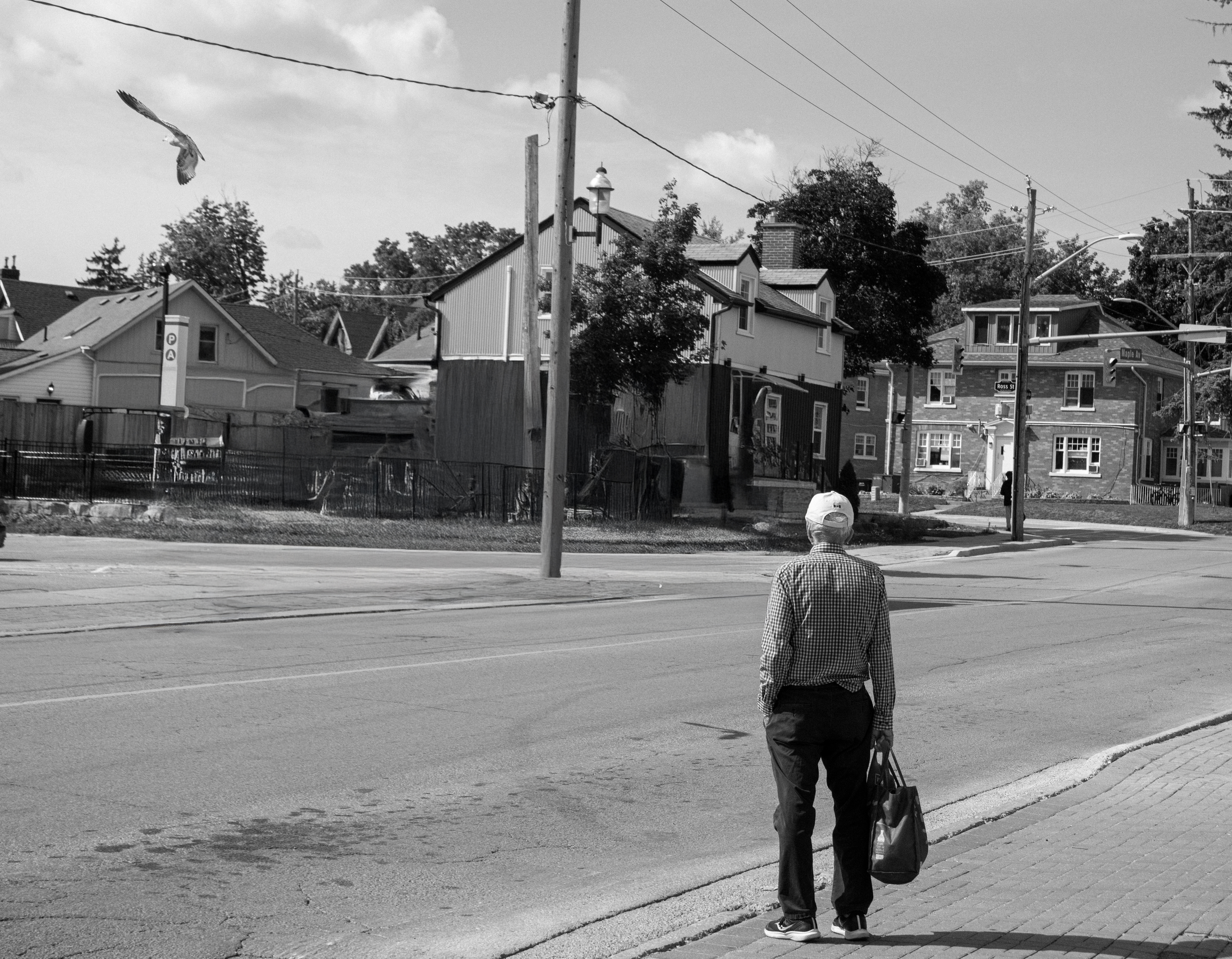 Waiting — man at intersection in black and white