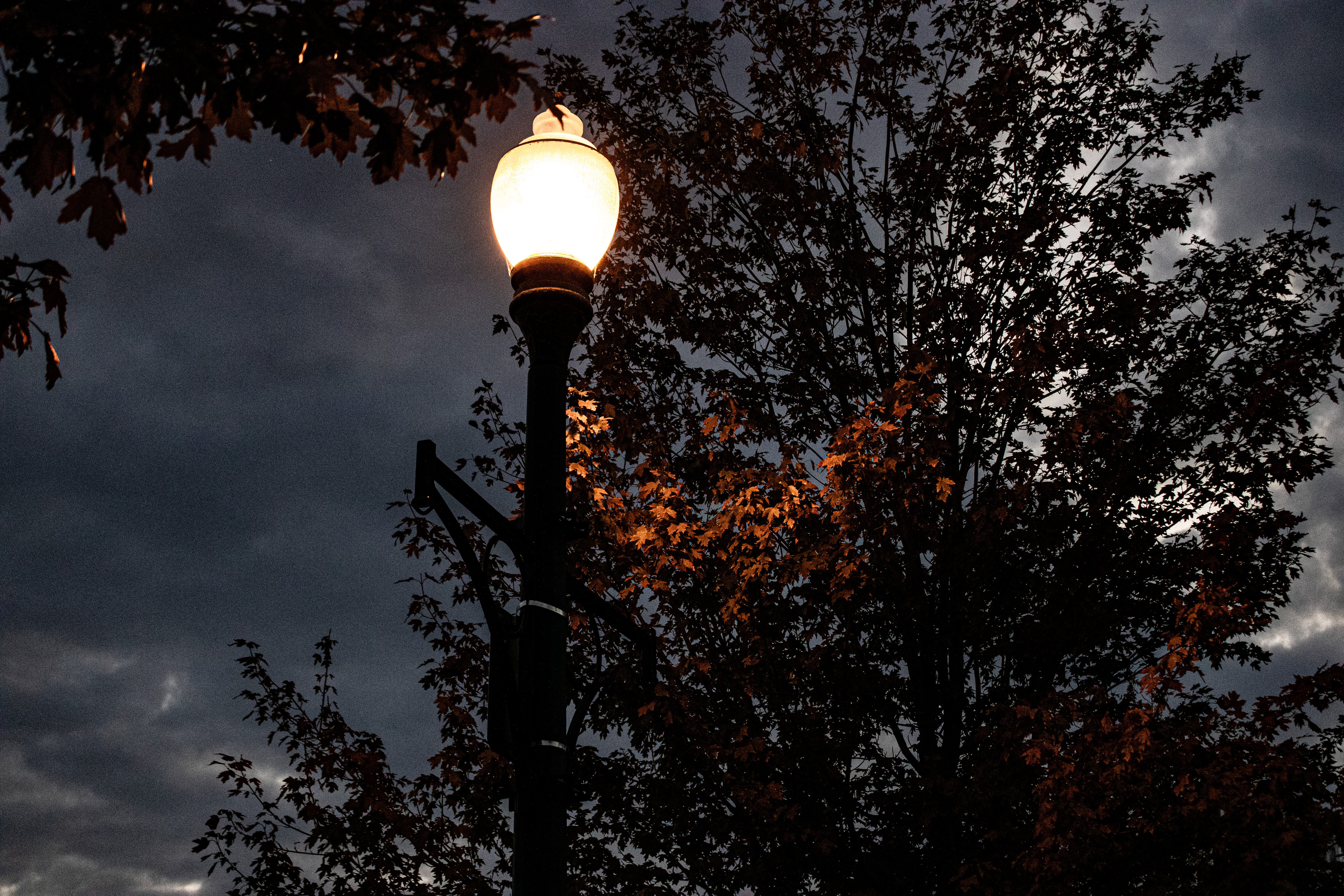 Street lamp glowing at night with autumn leaves