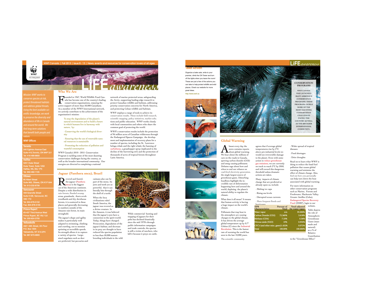 LIFE Awareness Magazine Spread